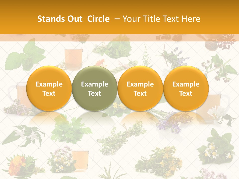 A Variety Of Flowers And Herbs On A White Background PowerPoint Template