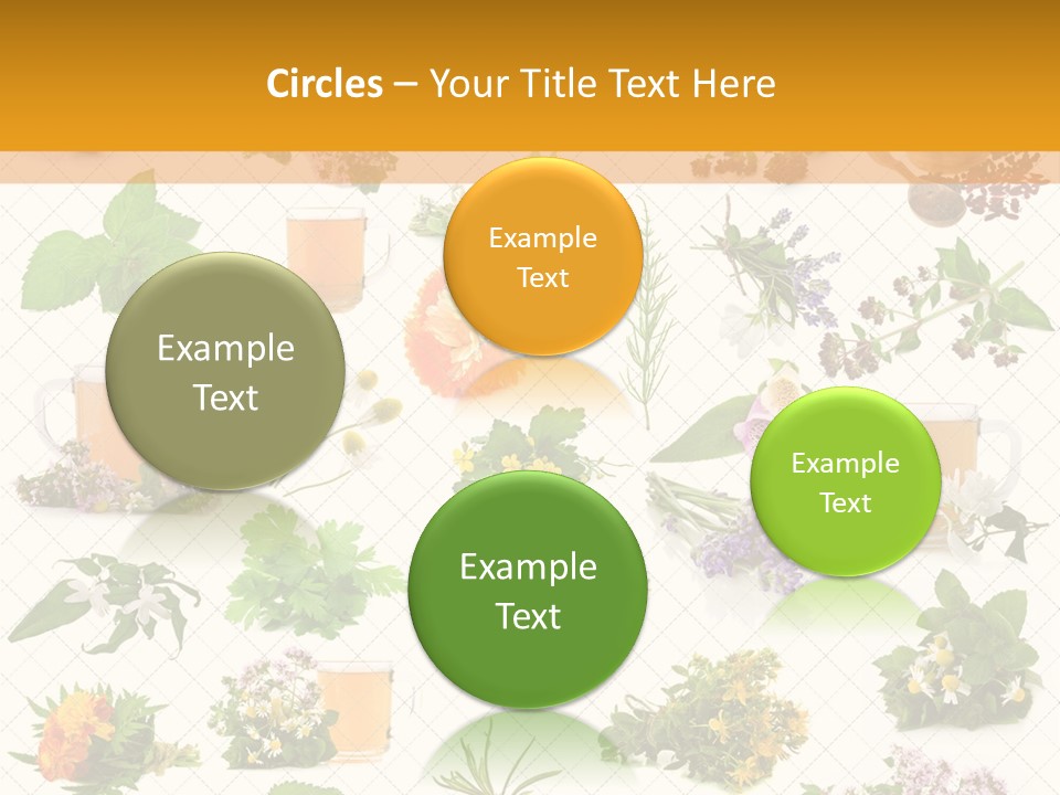 A Variety Of Flowers And Herbs On A White Background PowerPoint Template