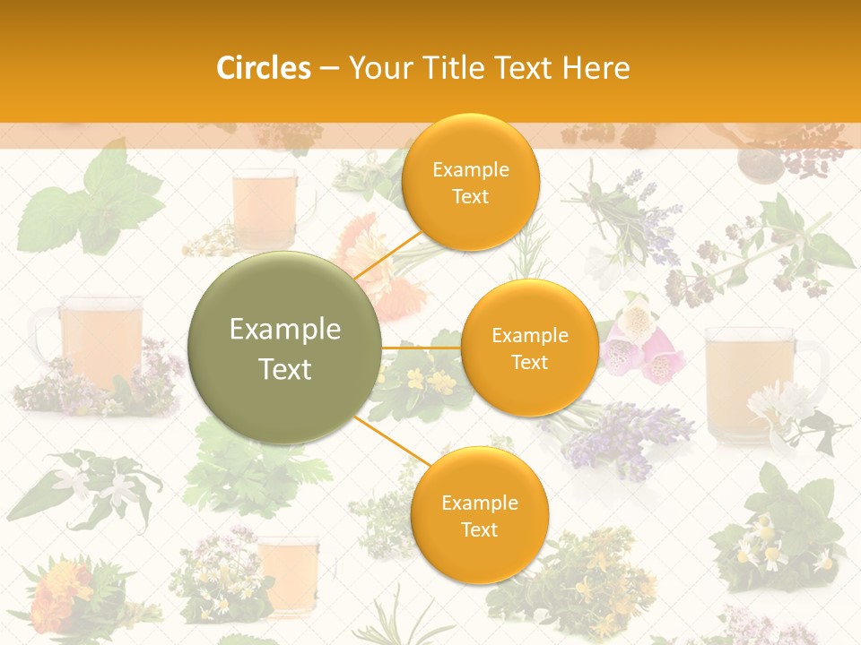 A Variety Of Flowers And Herbs On A White Background PowerPoint Template