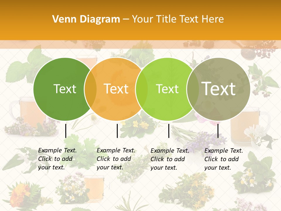 A Variety Of Flowers And Herbs On A White Background PowerPoint Template