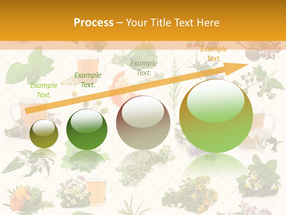A Variety Of Flowers And Herbs On A White Background PowerPoint Template
