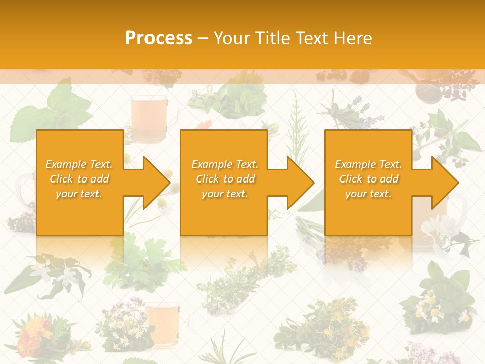 A Variety Of Flowers And Herbs On A White Background PowerPoint Template