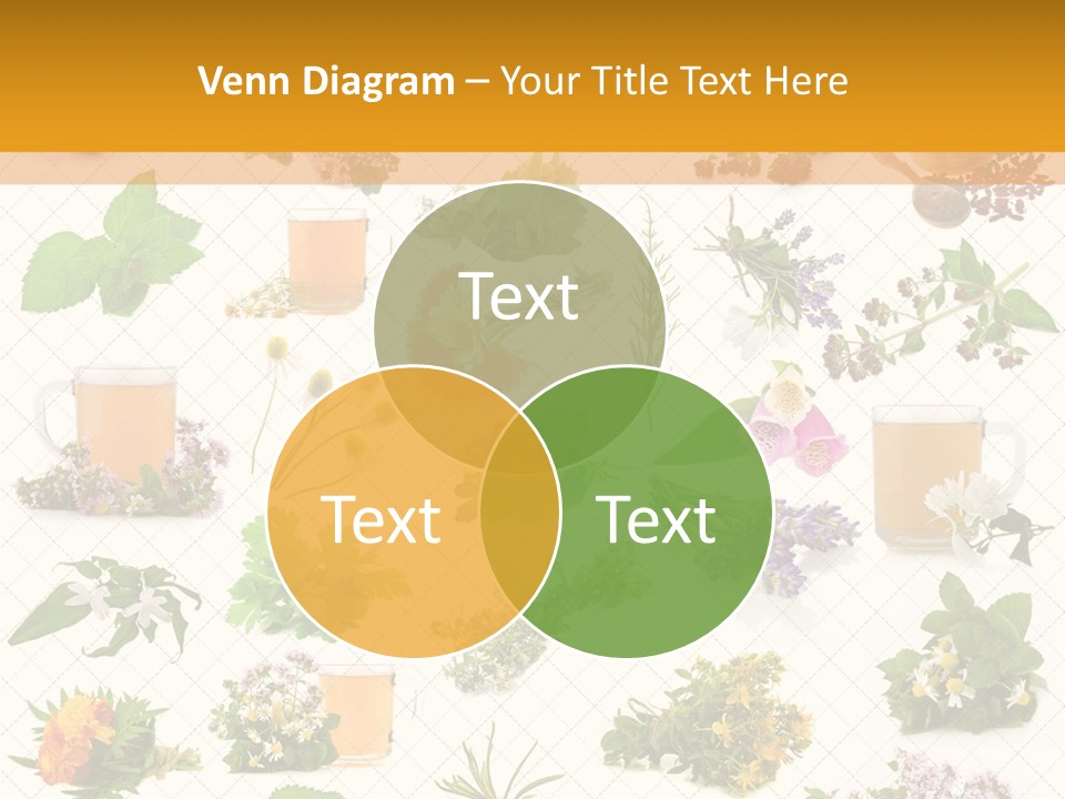 A Variety Of Flowers And Herbs On A White Background PowerPoint Template