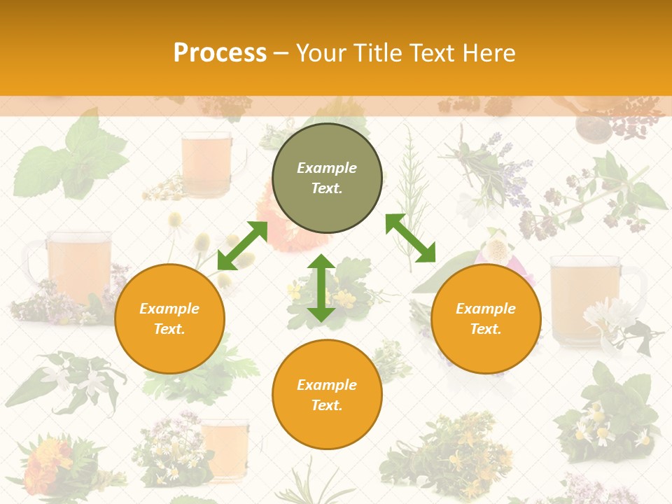 A Variety Of Flowers And Herbs On A White Background PowerPoint Template