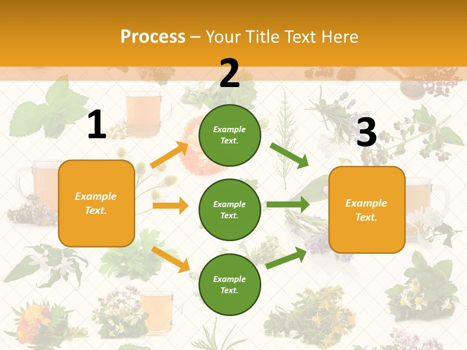 A Variety Of Flowers And Herbs On A White Background PowerPoint Template