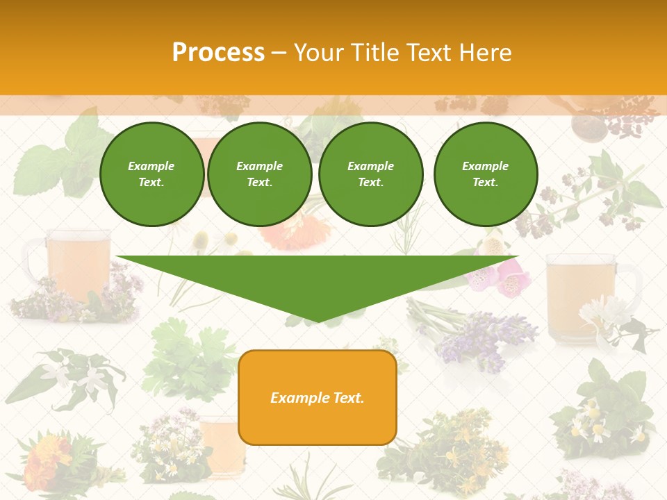 A Variety Of Flowers And Herbs On A White Background PowerPoint Template