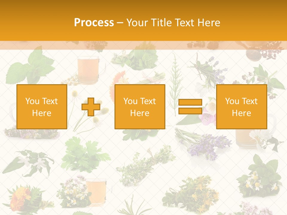 A Variety Of Flowers And Herbs On A White Background PowerPoint Template
