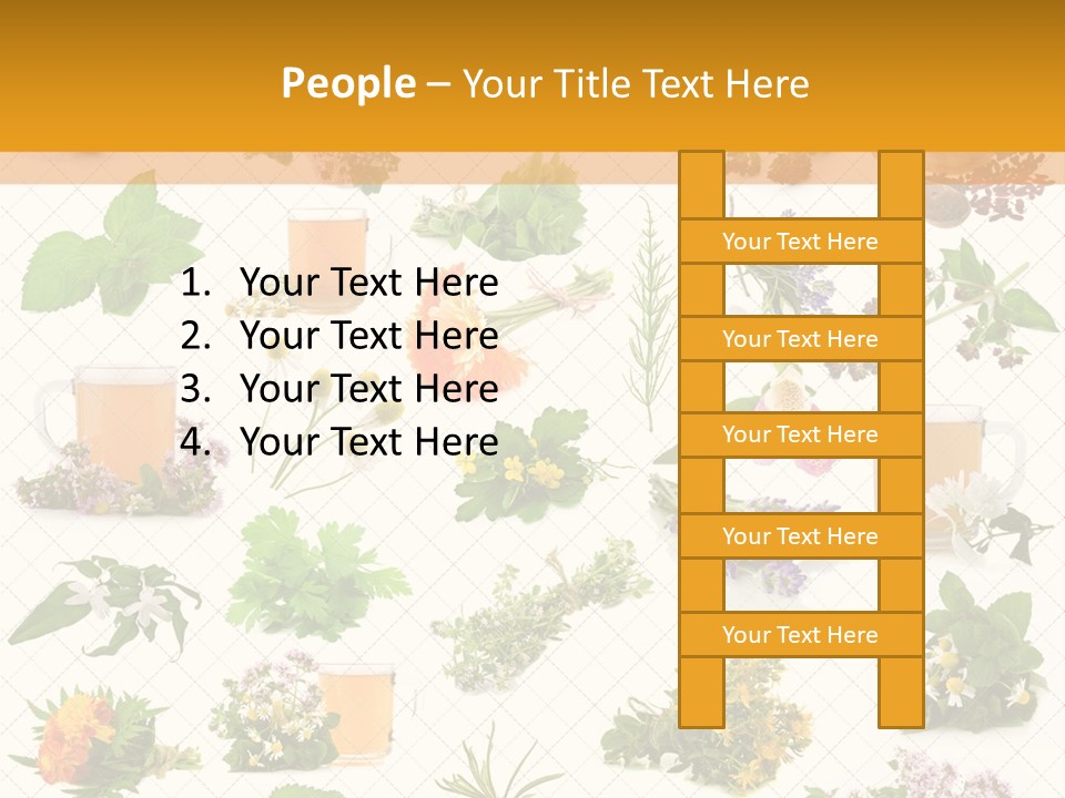 A Variety Of Flowers And Herbs On A White Background PowerPoint Template