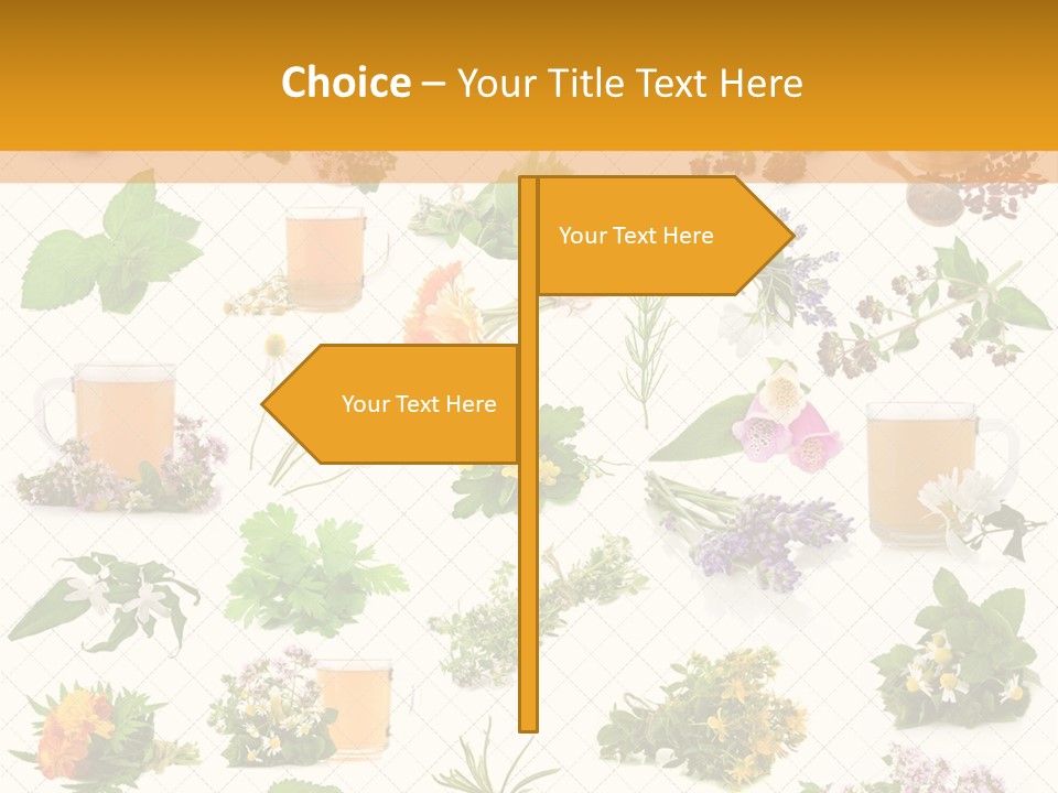 A Variety Of Flowers And Herbs On A White Background PowerPoint Template