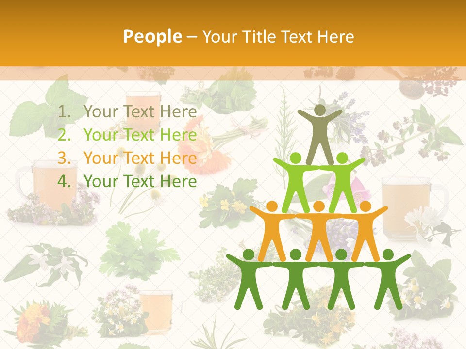 A Variety Of Flowers And Herbs On A White Background PowerPoint Template