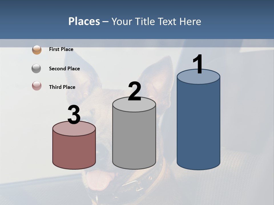 A Dog Is Sitting In The Back Seat Of A Car PowerPoint Template