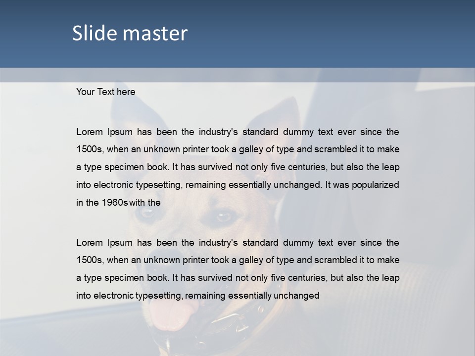 A Dog Is Sitting In The Back Seat Of A Car PowerPoint Template