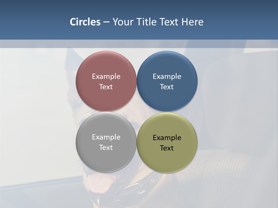 A Dog Is Sitting In The Back Seat Of A Car PowerPoint Template