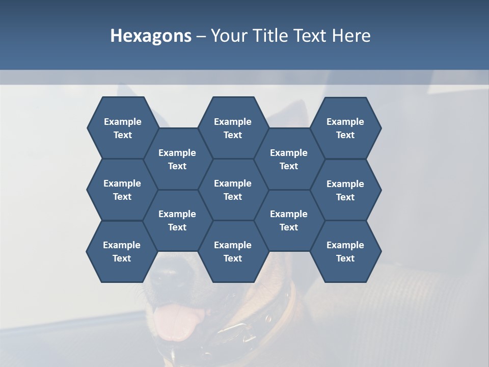 A Dog Is Sitting In The Back Seat Of A Car PowerPoint Template