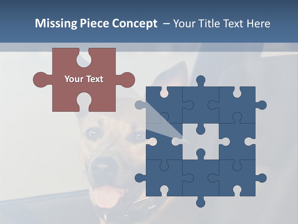 A Dog Is Sitting In The Back Seat Of A Car PowerPoint Template