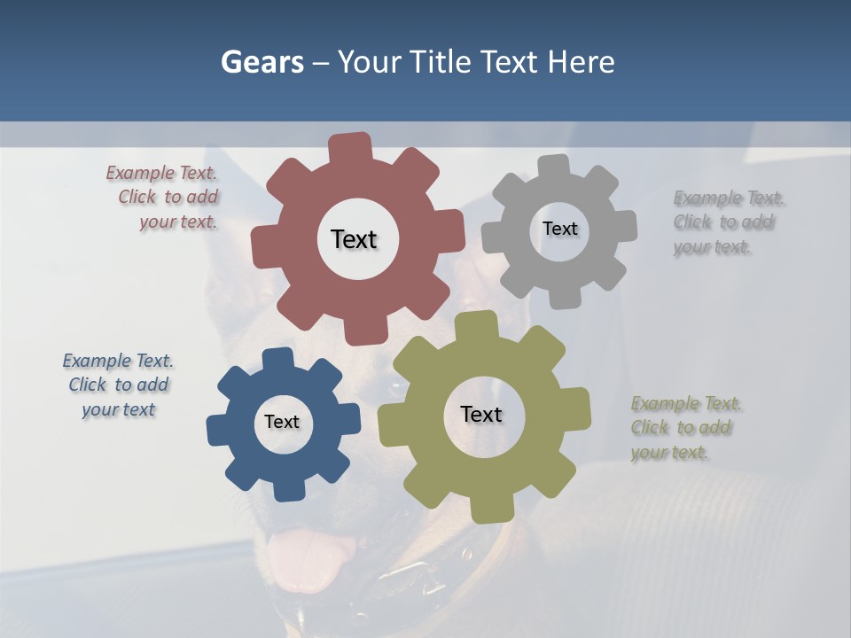 A Dog Is Sitting In The Back Seat Of A Car PowerPoint Template