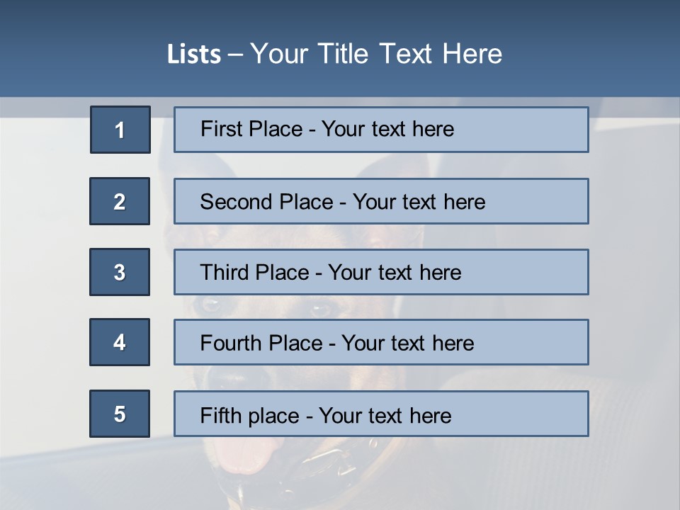 A Dog Is Sitting In The Back Seat Of A Car PowerPoint Template