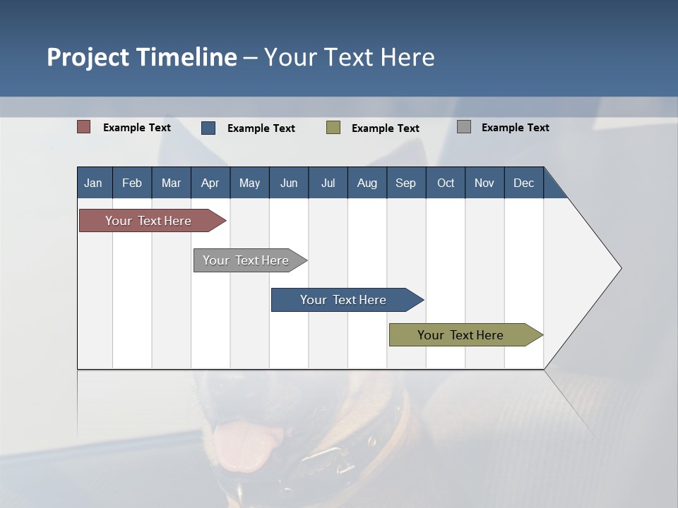 A Dog Is Sitting In The Back Seat Of A Car PowerPoint Template