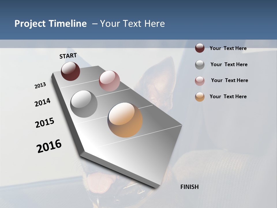 A Dog Is Sitting In The Back Seat Of A Car PowerPoint Template