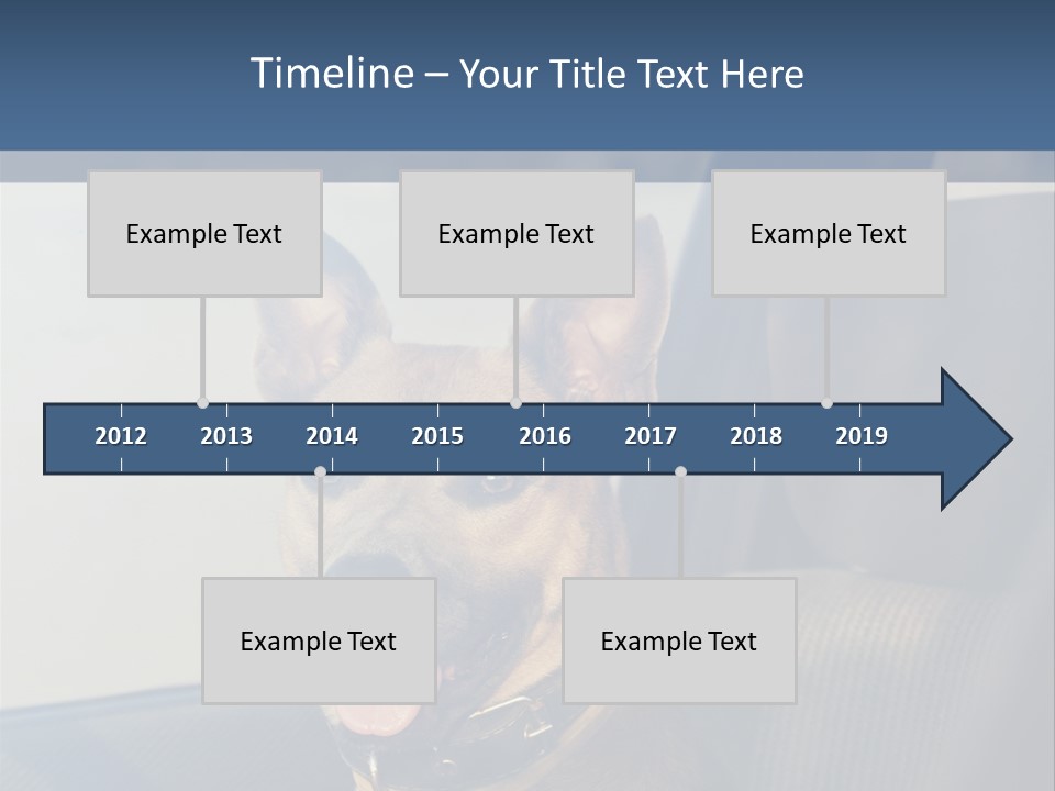 A Dog Is Sitting In The Back Seat Of A Car PowerPoint Template