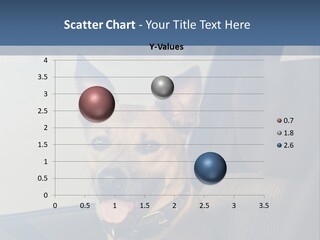 A Dog Is Sitting In The Back Seat Of A Car PowerPoint Template
