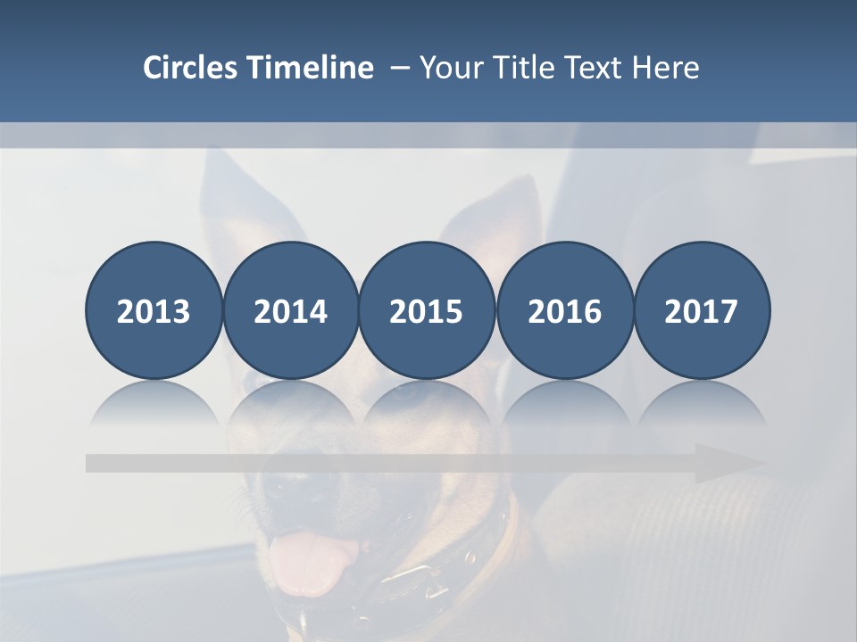 A Dog Is Sitting In The Back Seat Of A Car PowerPoint Template
