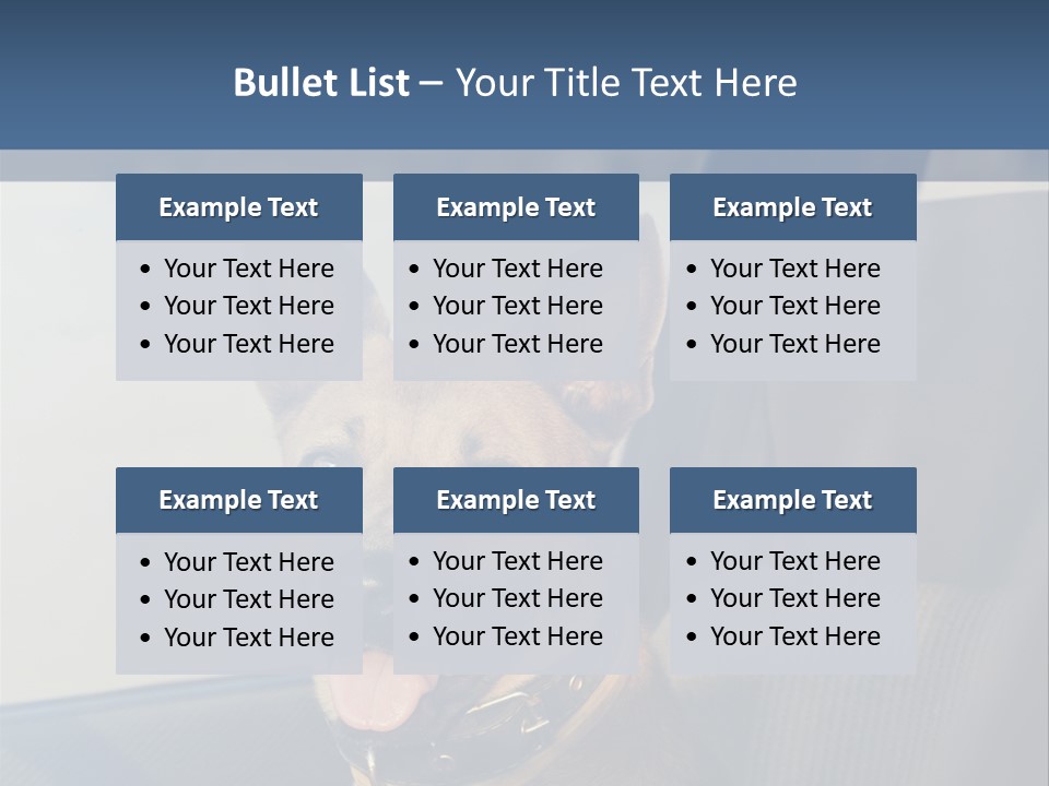 A Dog Is Sitting In The Back Seat Of A Car PowerPoint Template