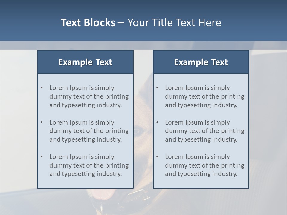 A Dog Is Sitting In The Back Seat Of A Car PowerPoint Template