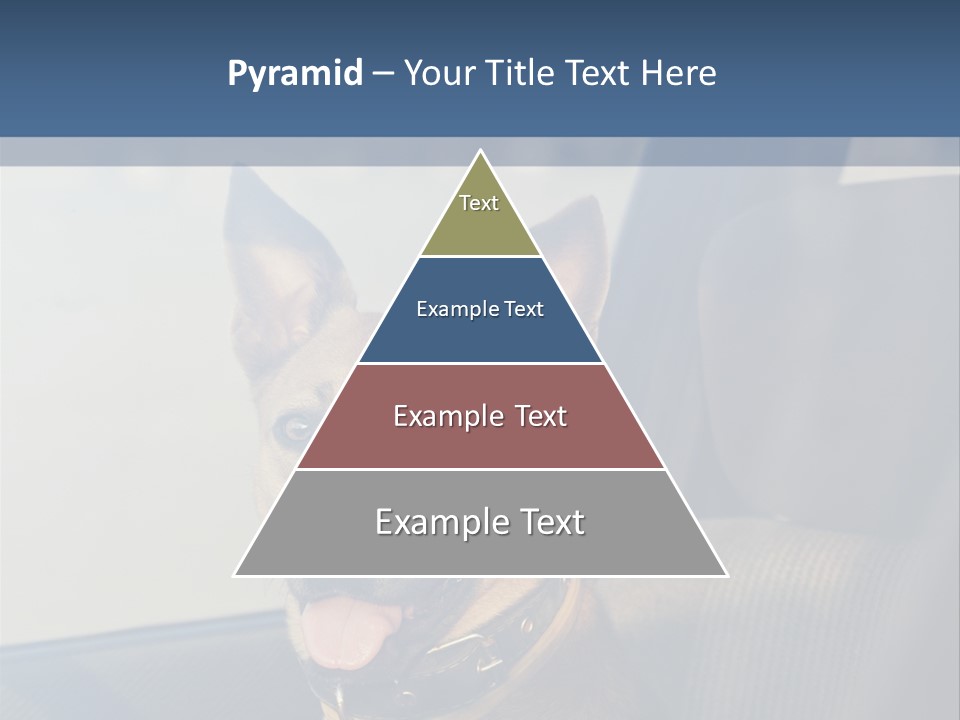 A Dog Is Sitting In The Back Seat Of A Car PowerPoint Template