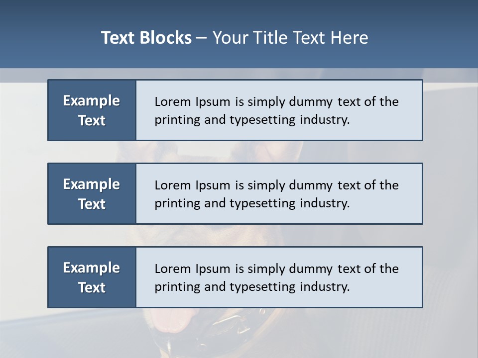 A Dog Is Sitting In The Back Seat Of A Car PowerPoint Template