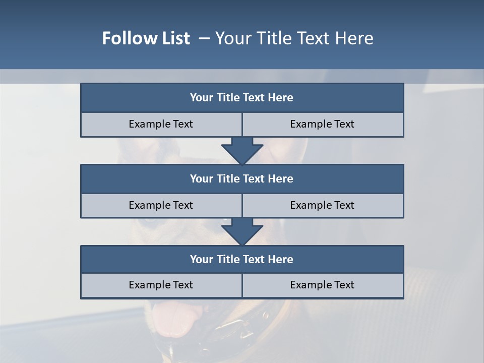 A Dog Is Sitting In The Back Seat Of A Car PowerPoint Template