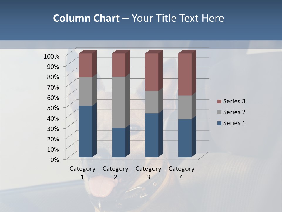 A Dog Is Sitting In The Back Seat Of A Car PowerPoint Template
