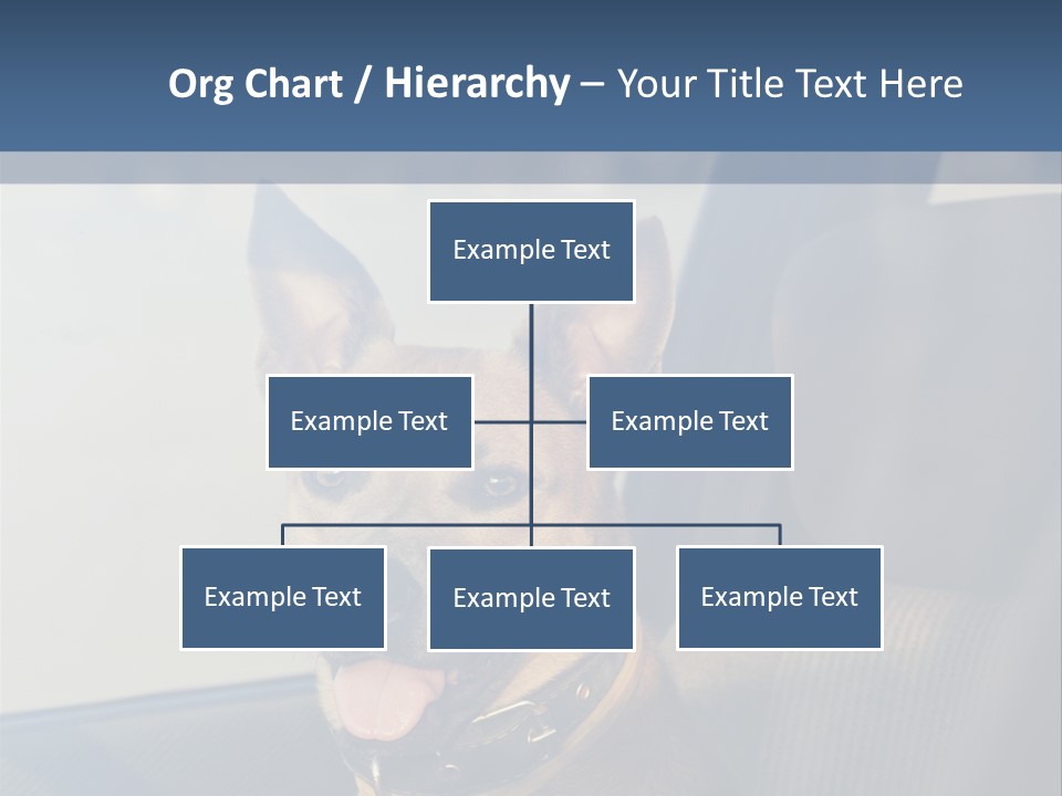 A Dog Is Sitting In The Back Seat Of A Car PowerPoint Template