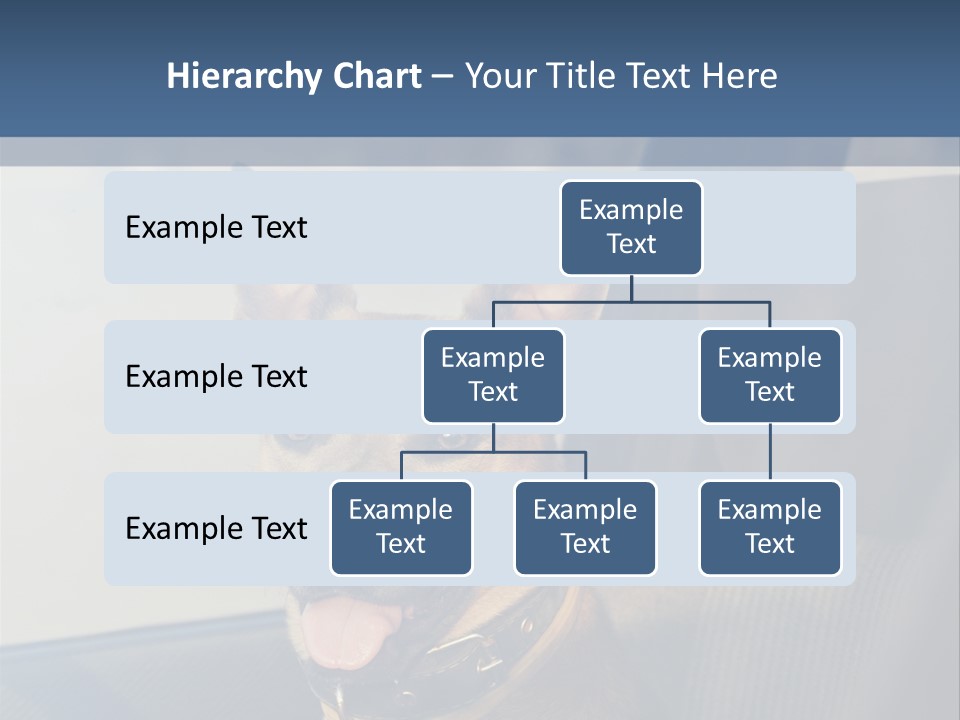 A Dog Is Sitting In The Back Seat Of A Car PowerPoint Template