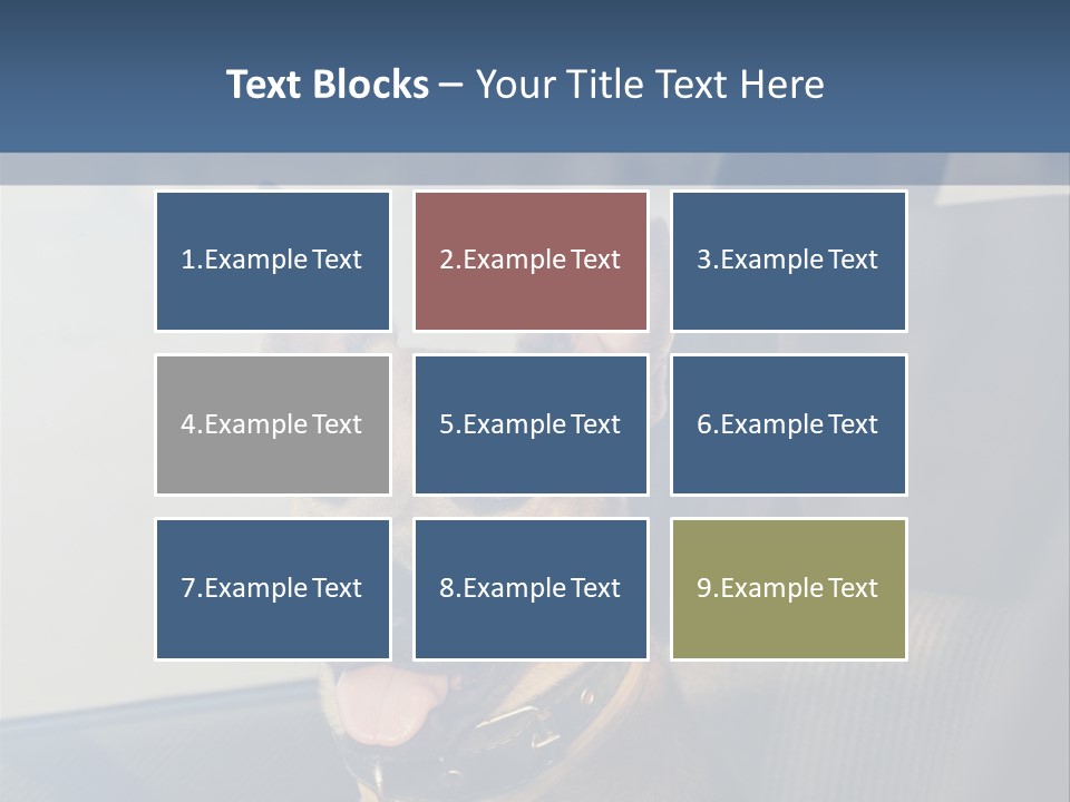 A Dog Is Sitting In The Back Seat Of A Car PowerPoint Template