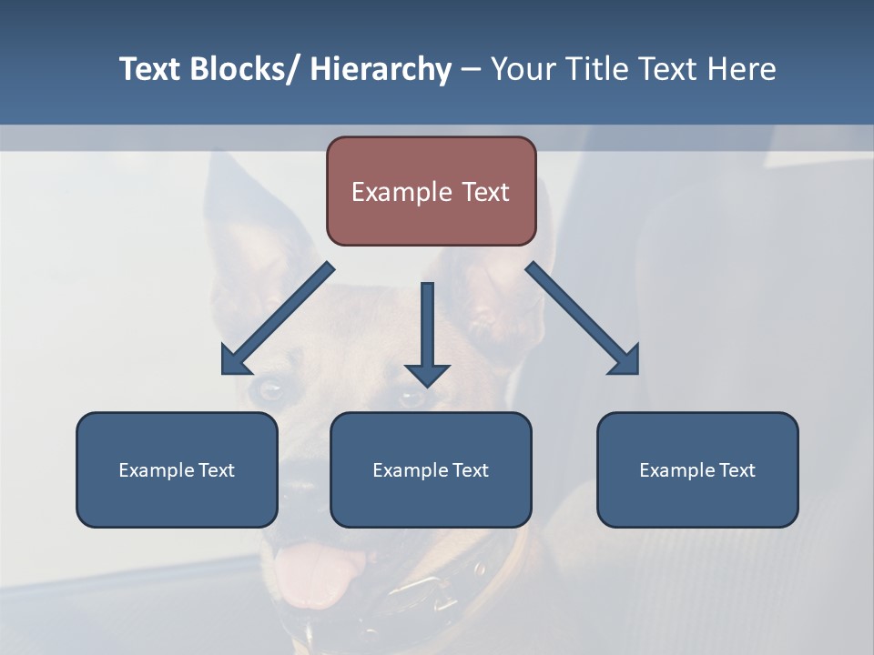 A Dog Is Sitting In The Back Seat Of A Car PowerPoint Template
