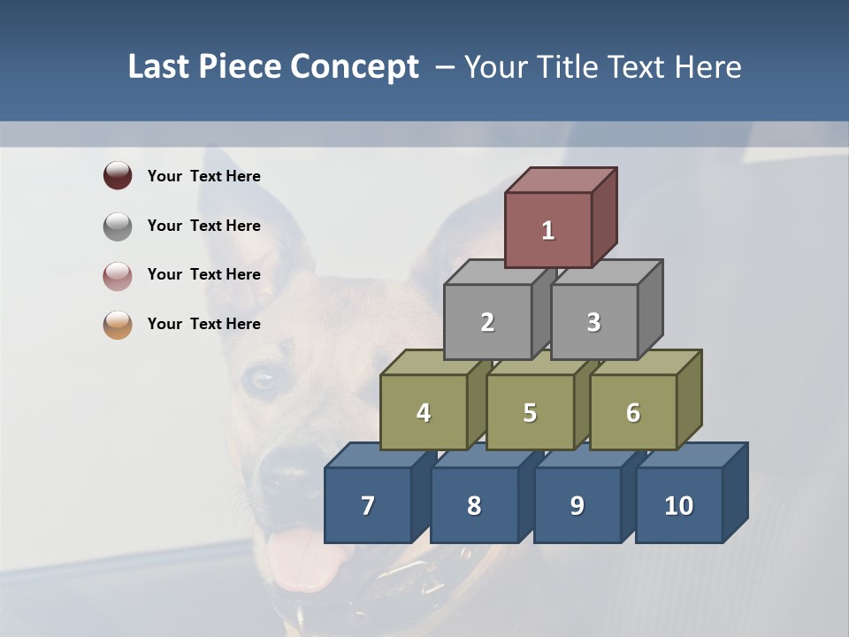 A Dog Is Sitting In The Back Seat Of A Car PowerPoint Template