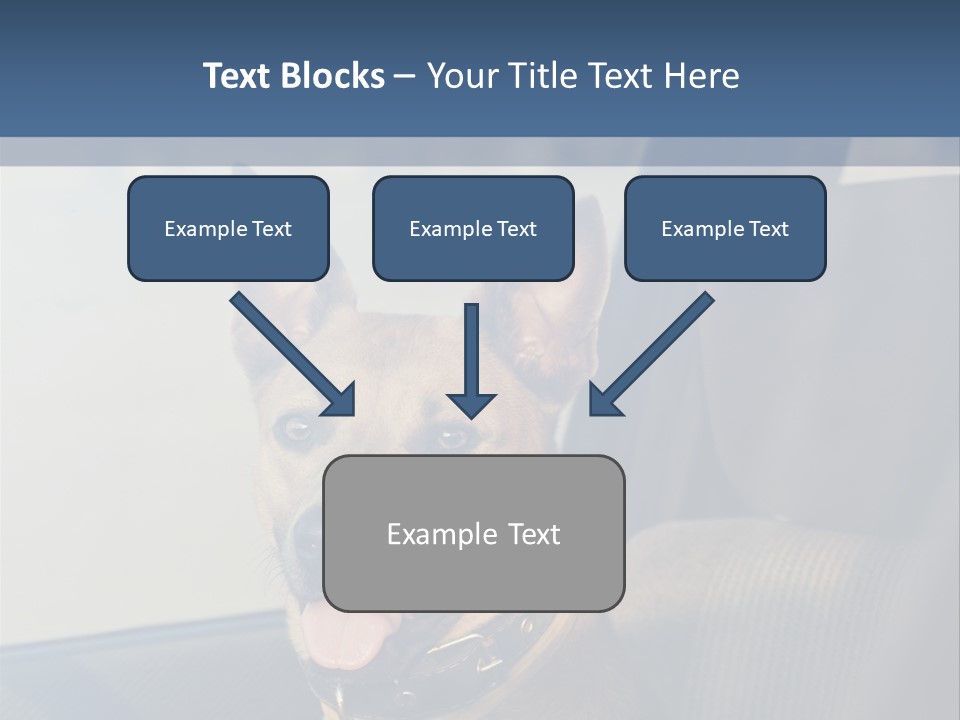 A Dog Is Sitting In The Back Seat Of A Car PowerPoint Template