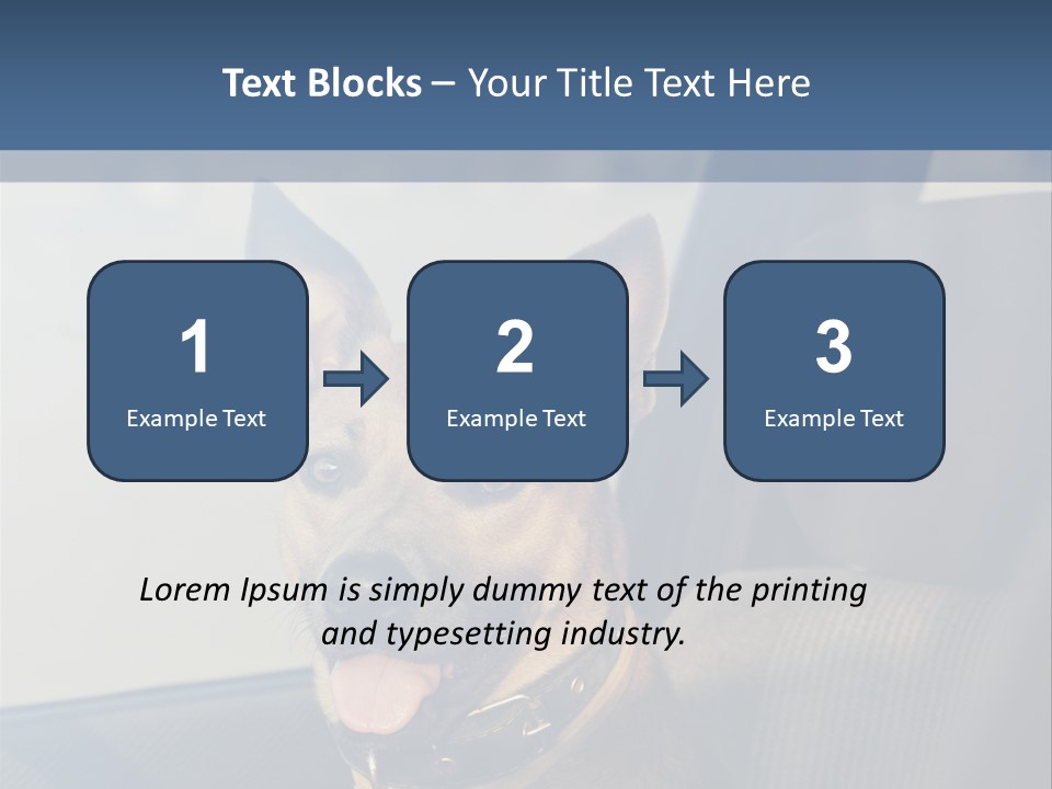A Dog Is Sitting In The Back Seat Of A Car PowerPoint Template