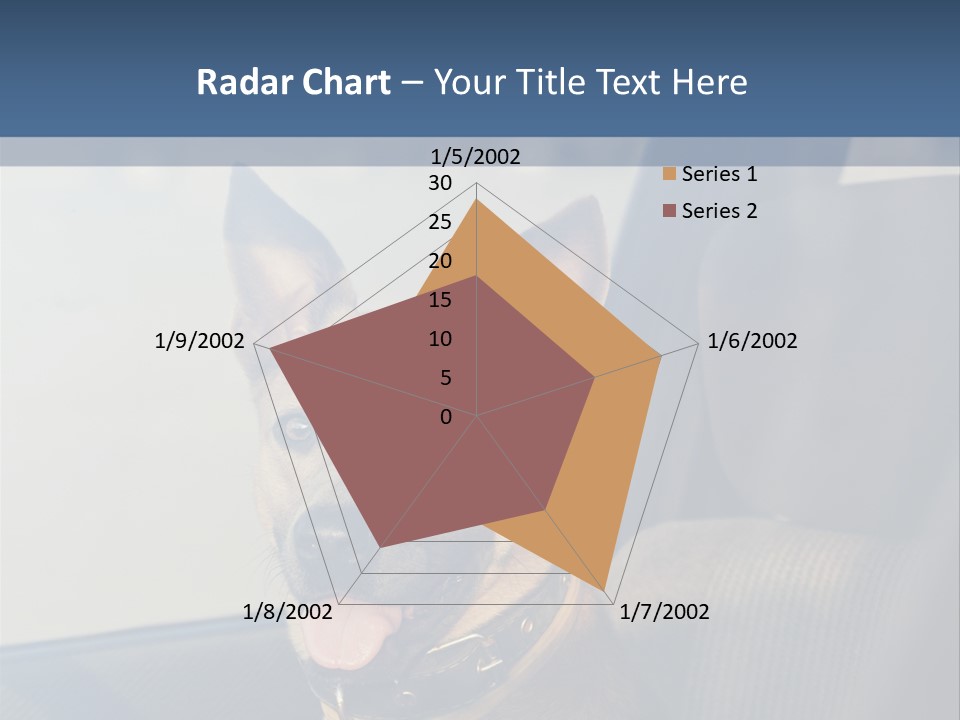 A Dog Is Sitting In The Back Seat Of A Car PowerPoint Template