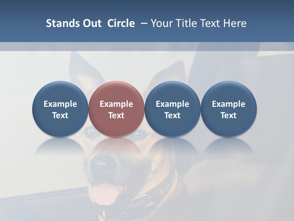 A Dog Is Sitting In The Back Seat Of A Car PowerPoint Template