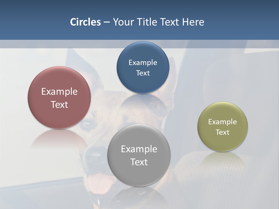 A Dog Is Sitting In The Back Seat Of A Car PowerPoint Template