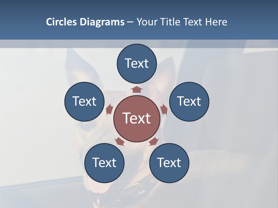 A Dog Is Sitting In The Back Seat Of A Car PowerPoint Template