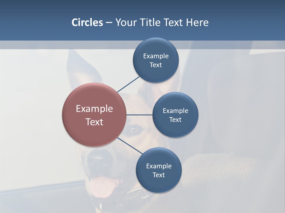 A Dog Is Sitting In The Back Seat Of A Car PowerPoint Template