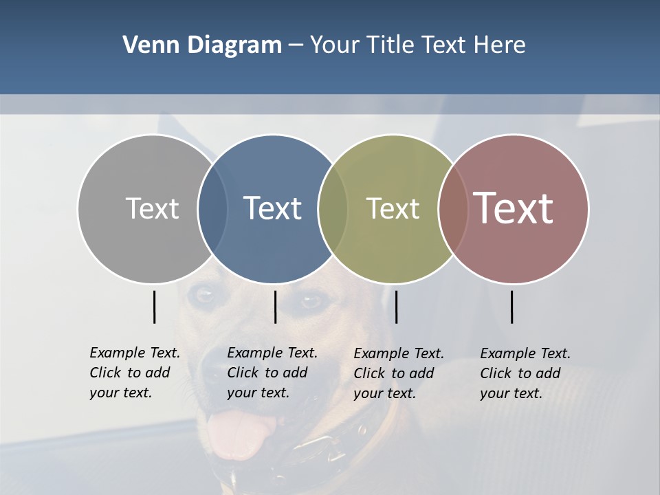 A Dog Is Sitting In The Back Seat Of A Car PowerPoint Template
