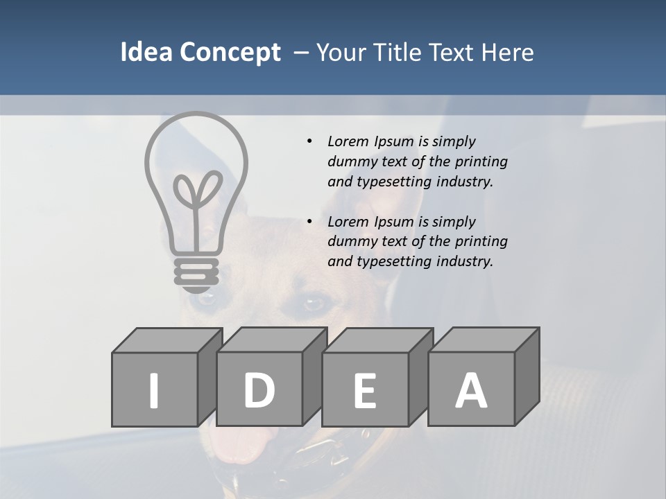 A Dog Is Sitting In The Back Seat Of A Car PowerPoint Template