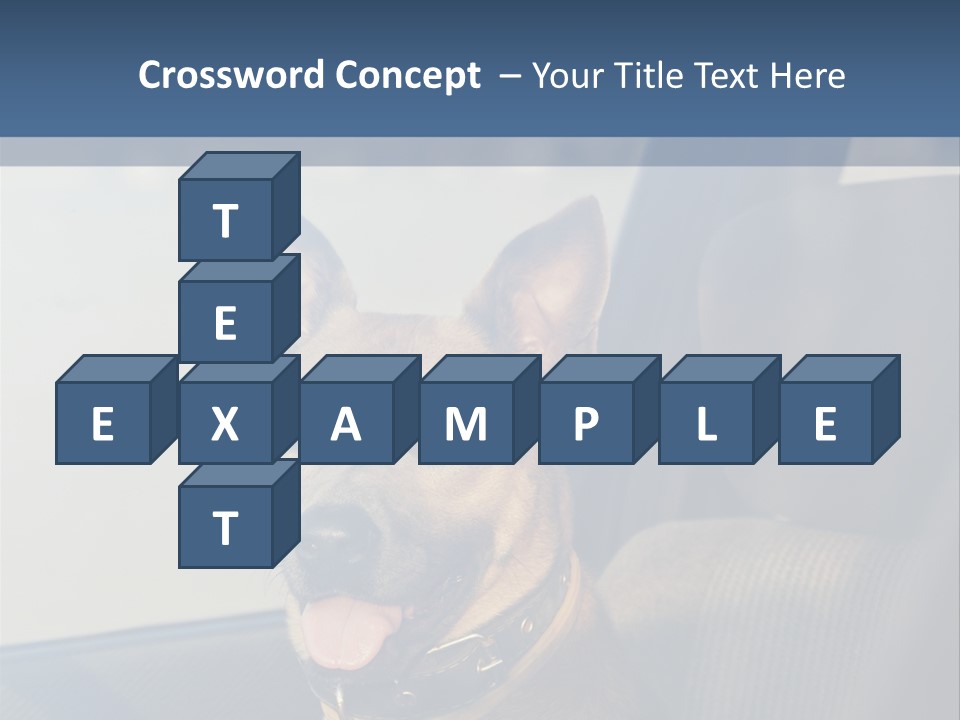 A Dog Is Sitting In The Back Seat Of A Car PowerPoint Template