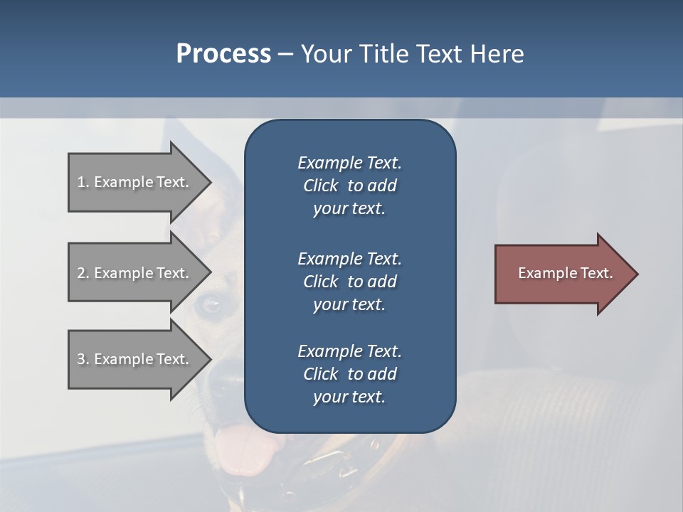 A Dog Is Sitting In The Back Seat Of A Car PowerPoint Template