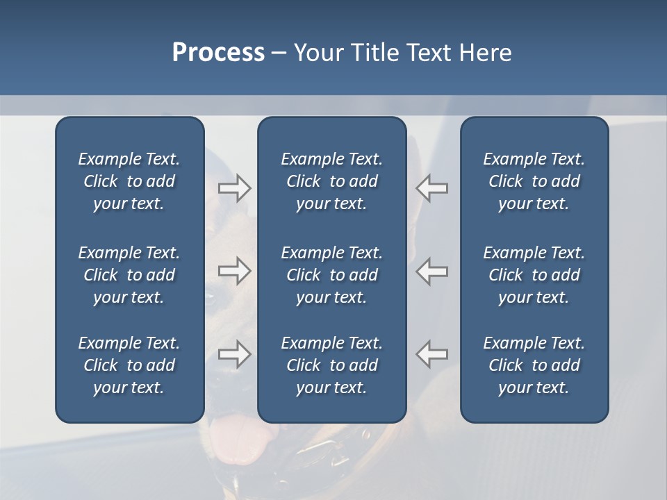 A Dog Is Sitting In The Back Seat Of A Car PowerPoint Template