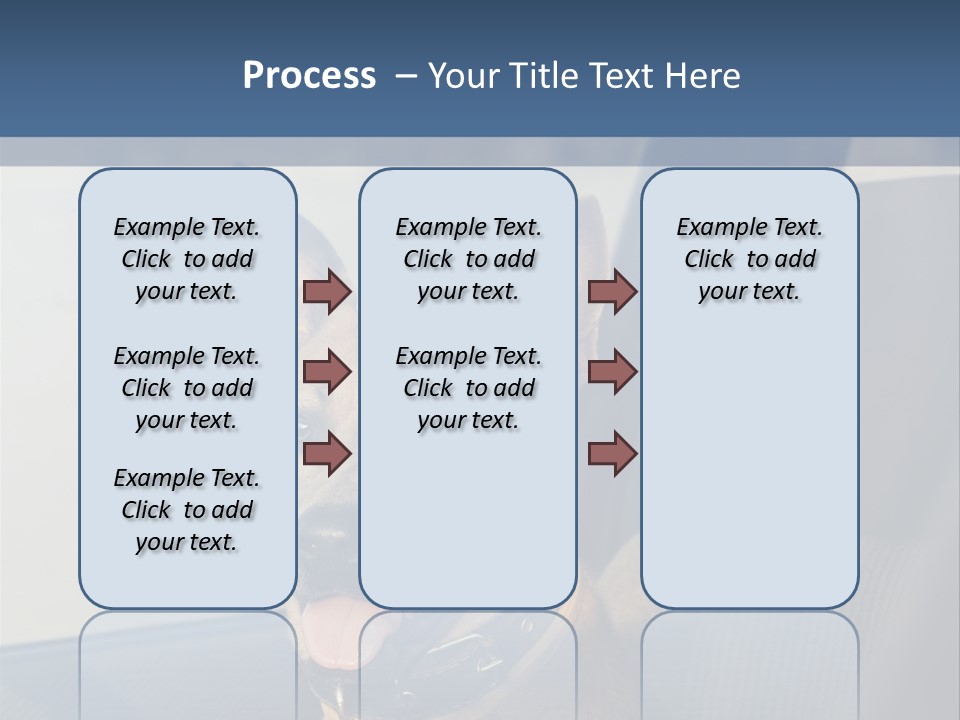 A Dog Is Sitting In The Back Seat Of A Car PowerPoint Template